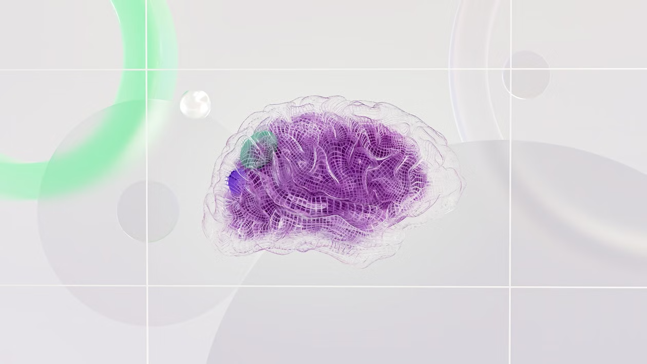 A translucent neural system
